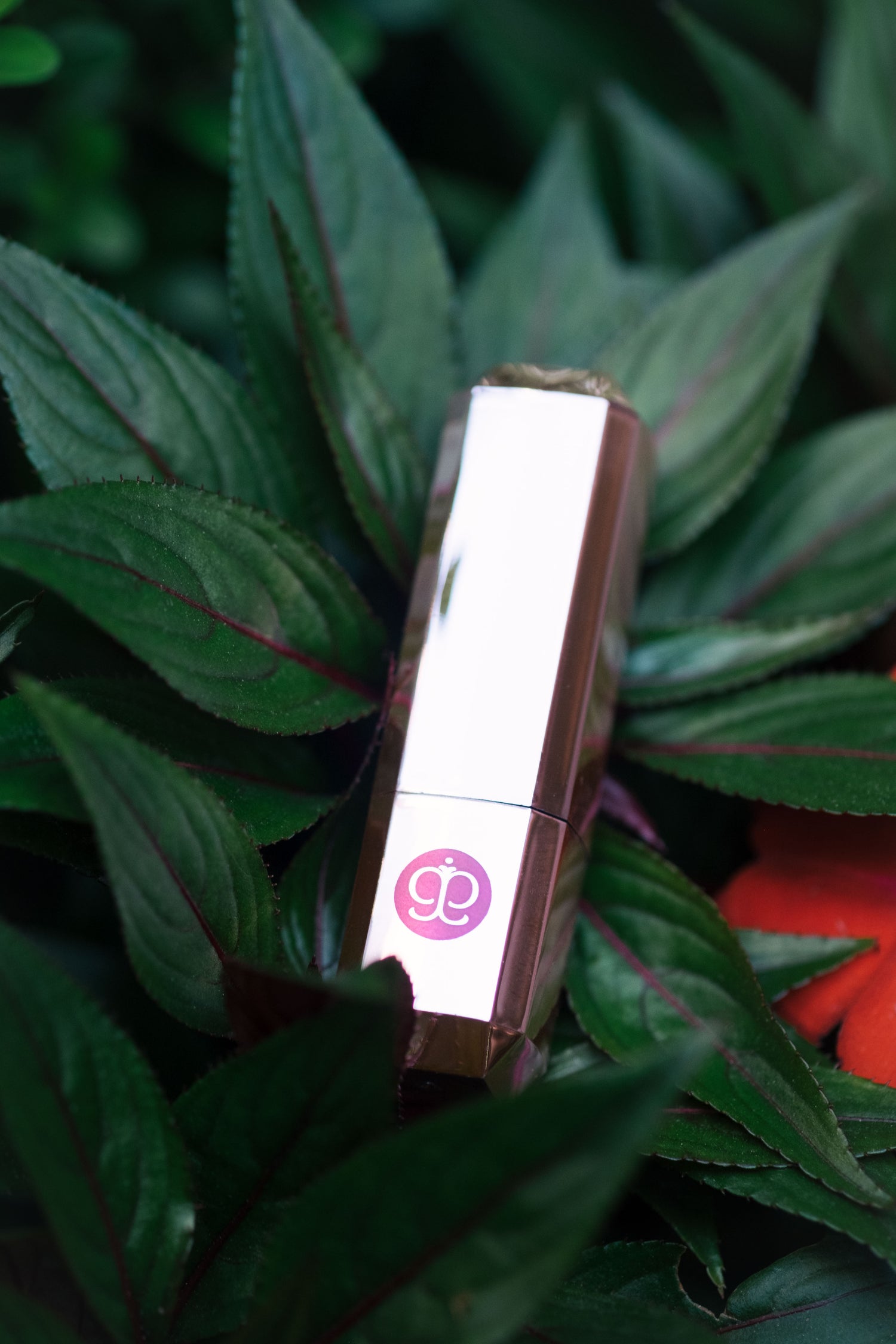 Bálsamo De Labios Karité Lip balm (primer)